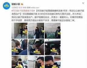 何洁绯闻爆料视频播放,揭秘事件背后真相